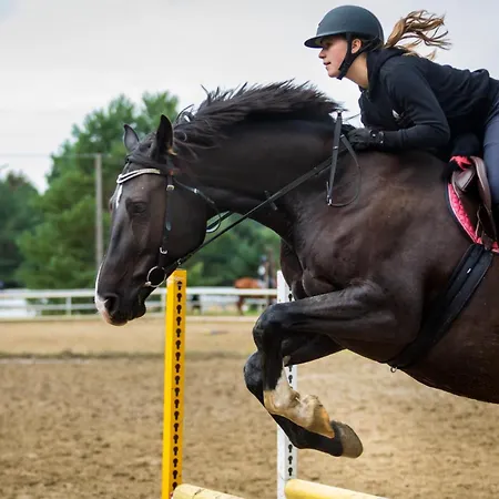 Iskra לינה וארוחת בוקר