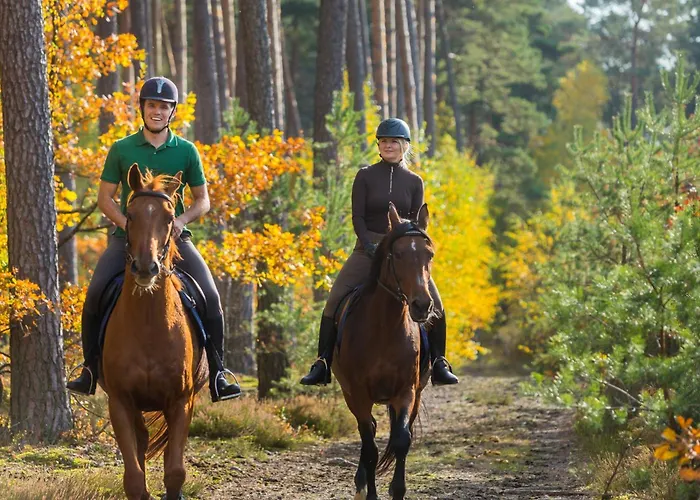 Iskra Bed & Breakfast Sztum